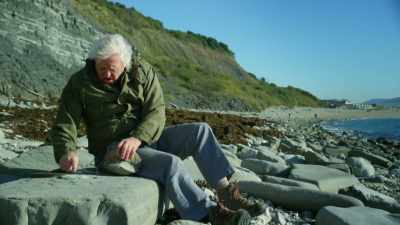 There's one here
on this boulder. - Attenborough and the Sea Dragon