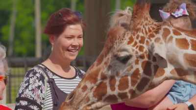 There's people and sun
and animals and crackers - Secrets of the Zoo