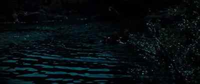 THERE'S PLENTY OF COWS
BEEN DROWNED HERE, - No Blade of Grass