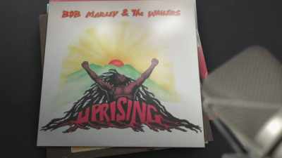 There's even reggae in there. - Stevie Van Zandt: Disciple