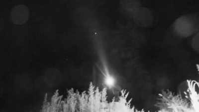 There's something
 in this tree above Ronny,
 and he's not seeing anything - Expedition Bigfoot