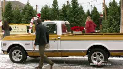 There's something special
about tree hunting. - Return to Christmas Creek