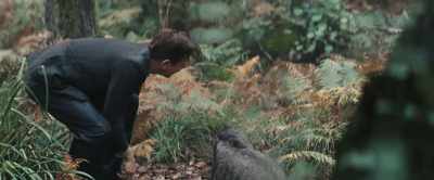 There's that sound again. - Christopher Robin