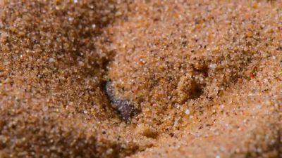 There's still a little time to snooze - Tiny World