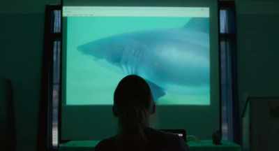 There's still so much to learn
about these animals. - After the Bite