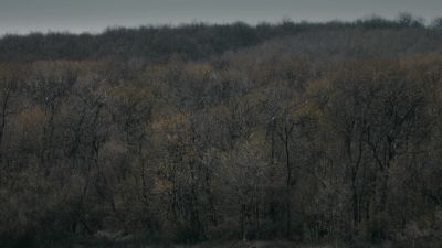 There's still no word
from Lord Sigebriht. - The Last Kingdom