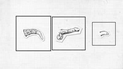 There's the human penis, - Explained
