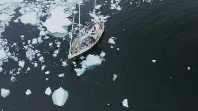There's the one we want! Whoo! - Frozen Planet II