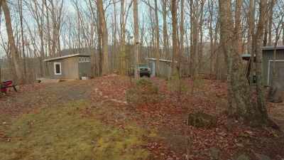 There's the pottery
shed, the tool shed, - The Cabin Chronicles