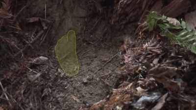  There's too much debris. - Expedition Bigfoot