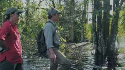 There's my trigger system submerged.
There's my flashes. - Path of the Panther