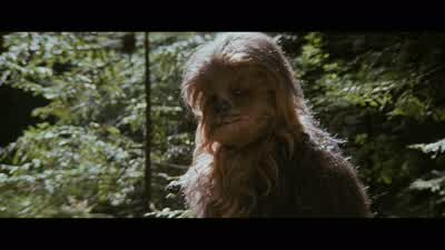 There's two more wrecked speeders back there. - Star Wars: Episode VI   Return of the Jedi