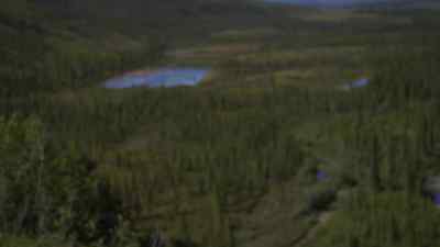 There's um... - The Last Alaskans