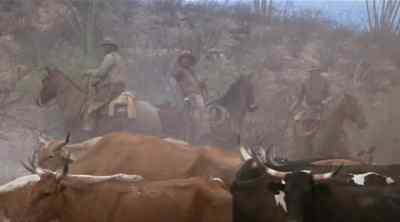 There's water,
right over the hill. - The Culpepper Cattle Co
