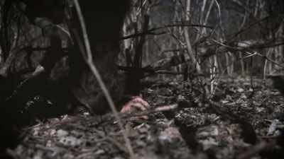 There's water, there's food, - Secrets of the Sasquatch