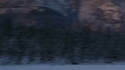There's wolves that
roam around the lake; - Life Below Zero: Next Generation