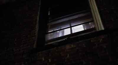 Theresa. - Fort Apache, the Bronx