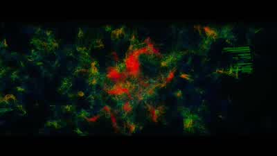 Thermal imaging from a satellite. - Ender's Game