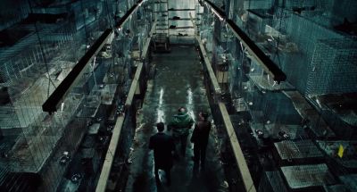 These are all kittens - Mousehunt
