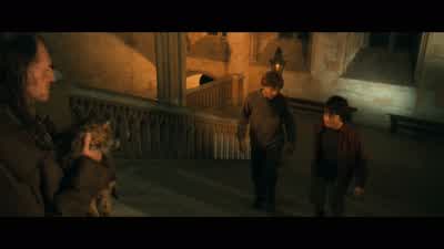 These are all plates, by the way. - Harry Potter and the Chamber of Secrets