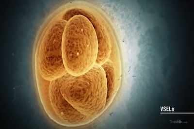 These are dormant stem cells
that have been present in your body - Thrive II: This Is What It Takes