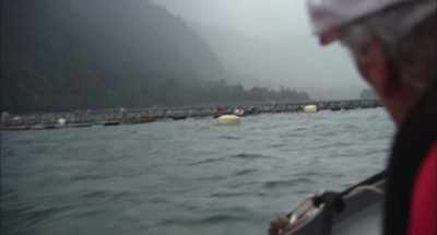 These are fish farms. - Wild Life