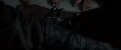 These are for you. - The Lord of the Rings: The Fellowship of the Ring