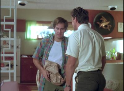 These are from my shotgun. - Quantum Leap