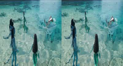 These are ilu. - Avatar: The Way of Water