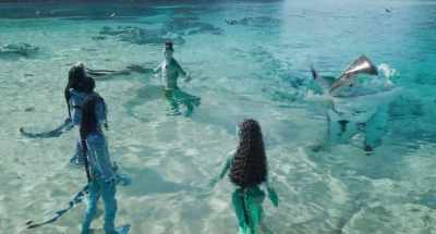 These are ilu. - Avatar: The Way of Water