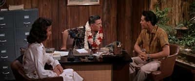 These are not only decorative but they keep my neck warm - Blue Hawaii