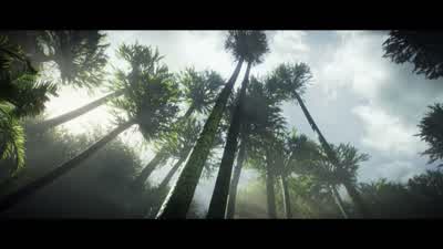 These are part of a group called lycopods, or scale trees. - Nova