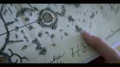 These are the astrocytes
in the hippocampus, - The Commons