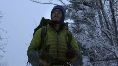 These are the biggest
spruce trees I've ever seen. - Life Below Zero: Next Generation