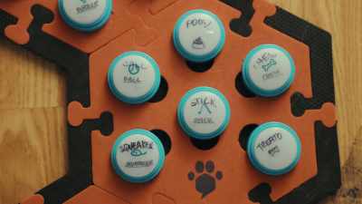 These are the buttons that Parker uses. - Inside the Mind of a Dog