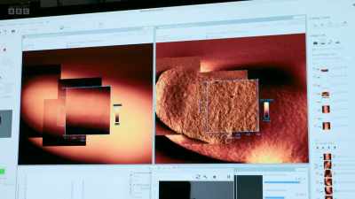 These are the holes
that let water and nutrients - Secrets of Size: Atoms to Supergalaxies