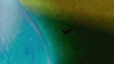 These are the most
ancient towers that life built. - Cosmos: Possible Worlds