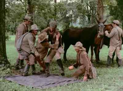 These are the same ones,
mind ya, - The Autobiography of Miss Jane Pittman