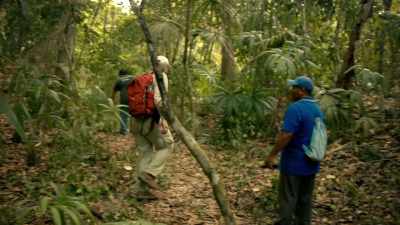 These are the two main structures in
the site that we were looking for. - Lost Treasures of the Maya