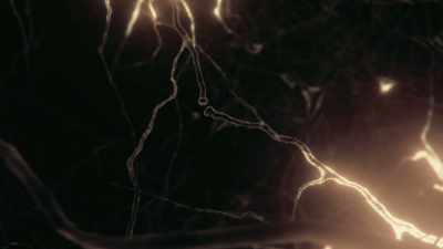 These are tiny electrochemical
switching elements, - Cosmos: Possible Worlds