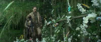 Why? Well, they're all so different. To look at them, you wouldn't say that they're the same species - Annihilation