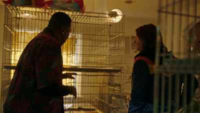 These cages are
supposed to be filled - Stumptown