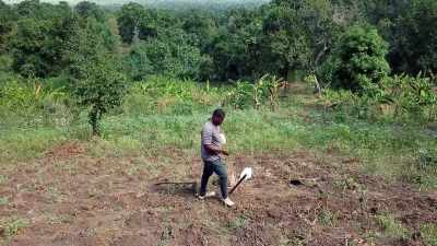 These changes affected
our country's production - Human: The World Within