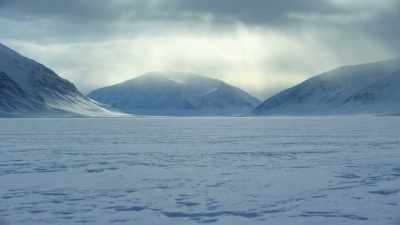 These changes in the ice
may benefit the bears for now, - Our Planet