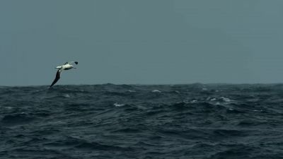 These churning waters draw up nutrients from the deep - Our Planet