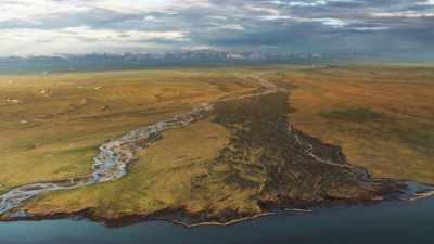 These coastal pastures
bordering the Arctic Ocean - Frozen Planet II