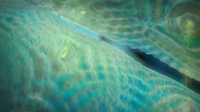 These communiqués
travel through passages
called ion channels. - Cosmos: Possible Worlds