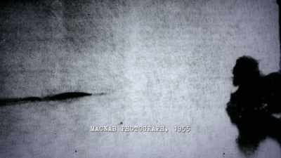 These creatures were huge,
up to 50 feet. - The Alaska Triangle
