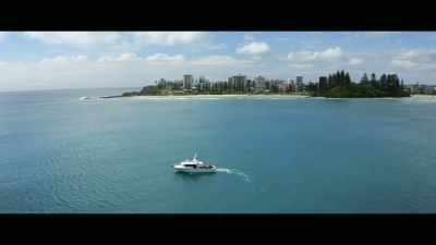 These culling programs
off Australian shores - Envoy: Shark Cull