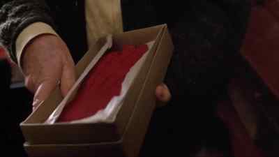 These were for my son,
but you'd better have them. - Shine